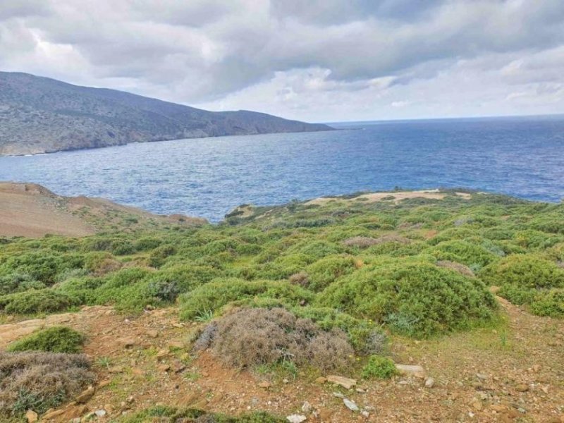 Pelagia Kreta, Ag. Pelagia, Grundstück 44.000m² mit unverbaubarem Meerblick Grundstück kaufen